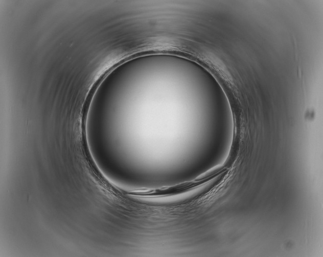 X0000096391226200801241253