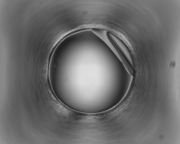 X0000096391228200801241253