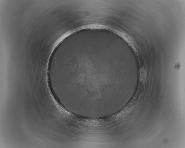 X0000096391229200801241253