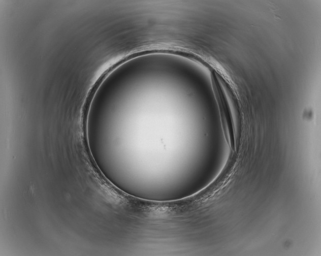 X0000096391230200801241253