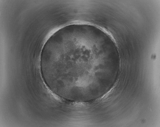 X0000096391231200801241253