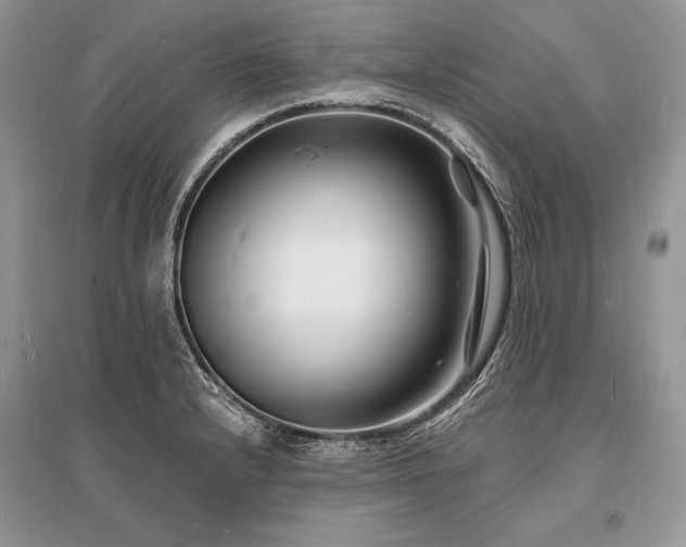 X0000096391232200801241253