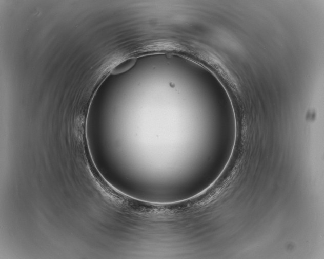 X0000096391233200801241253