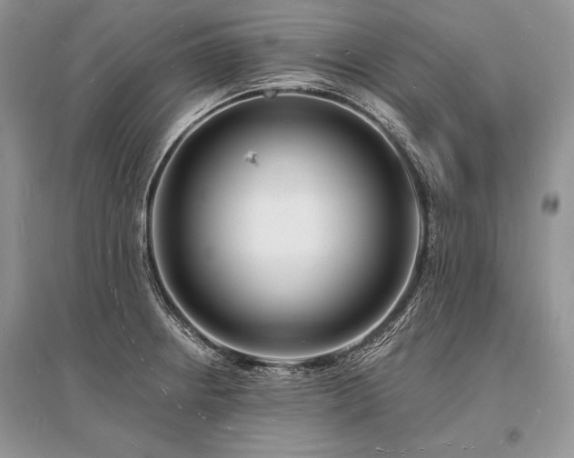X0000096391234200801241253
