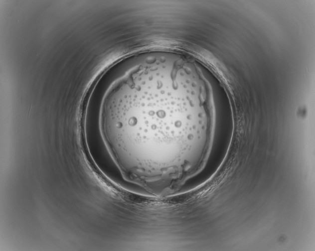 X0000096391235200801241253