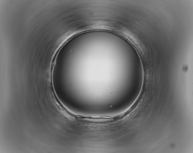 X0000096391236200801241253