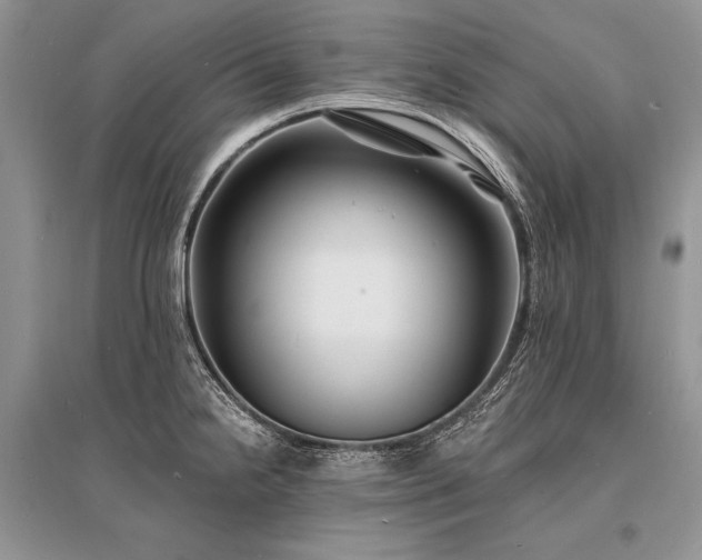 X0000096391238200801241254