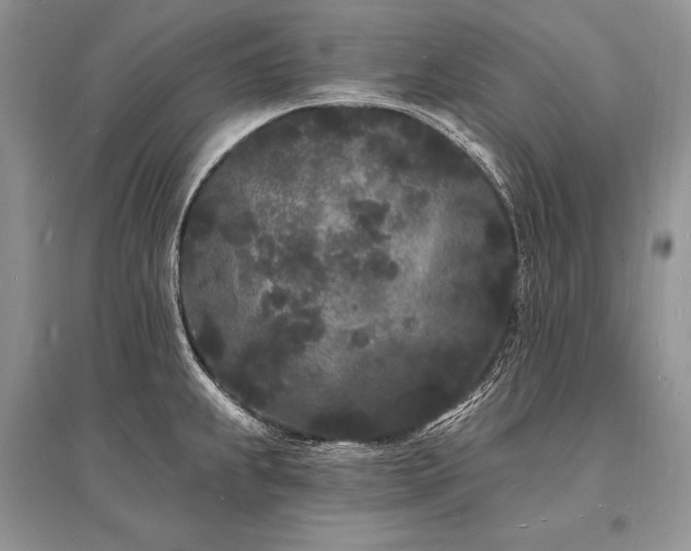 X0000096391239200801241254