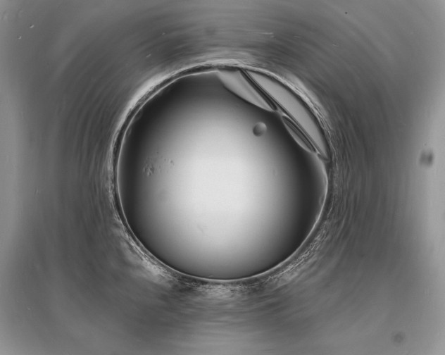 X0000096391240200801241254