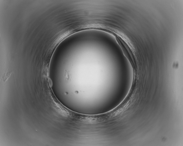 X0000096391241200801241254
