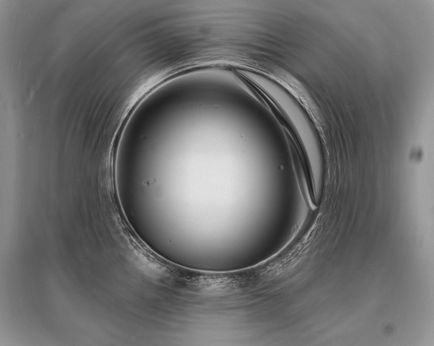 X0000096391242200801241254