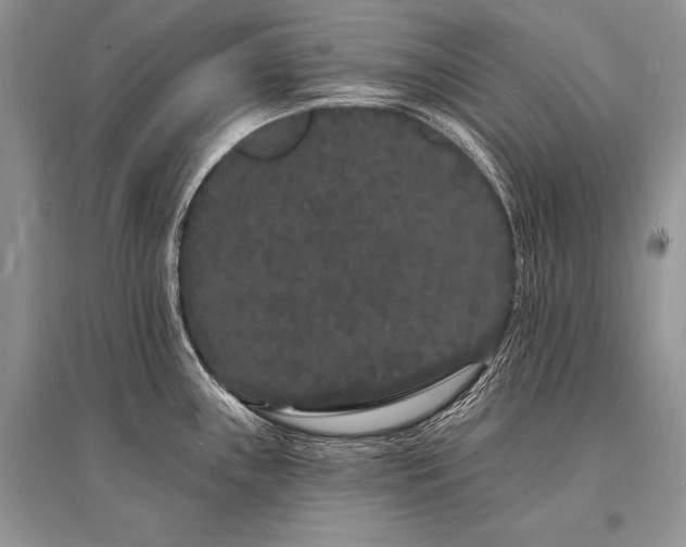 X0000096391243200801241254