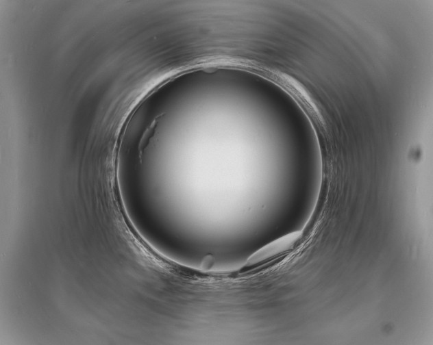 X0000096391244200801241254