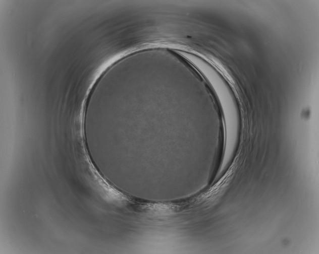 X0000096391246200801241254