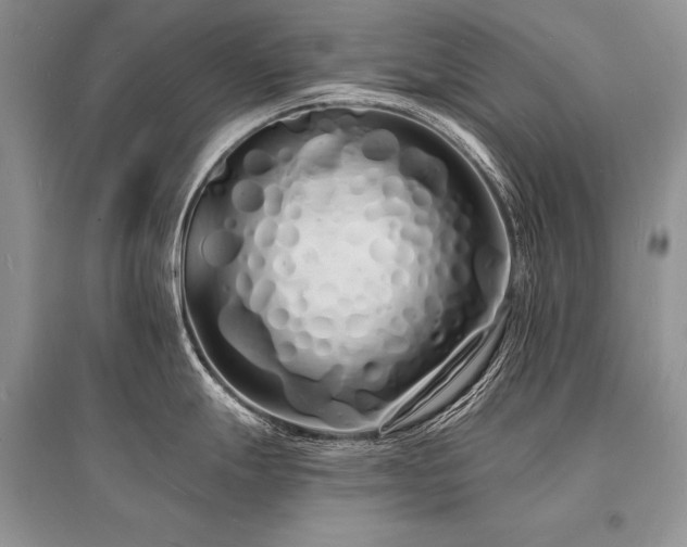 X0000096391247200801241254