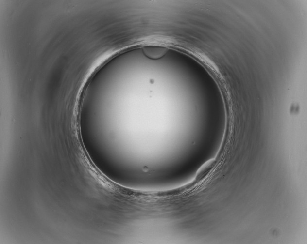 X0000096391248200801241254