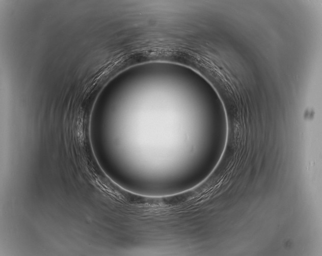 X0000096391250200801241253