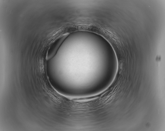 X0000096391252200801241253