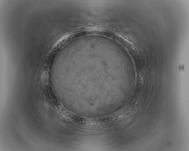 X0000096391254200801241253