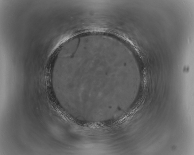 X0000096391255200801241253
