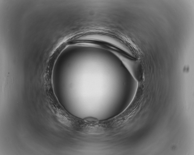 X0000096391256200801241253