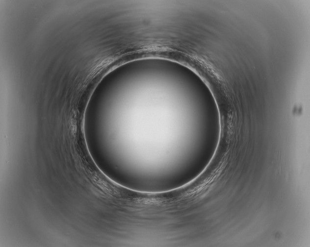 X0000096391257200801241253