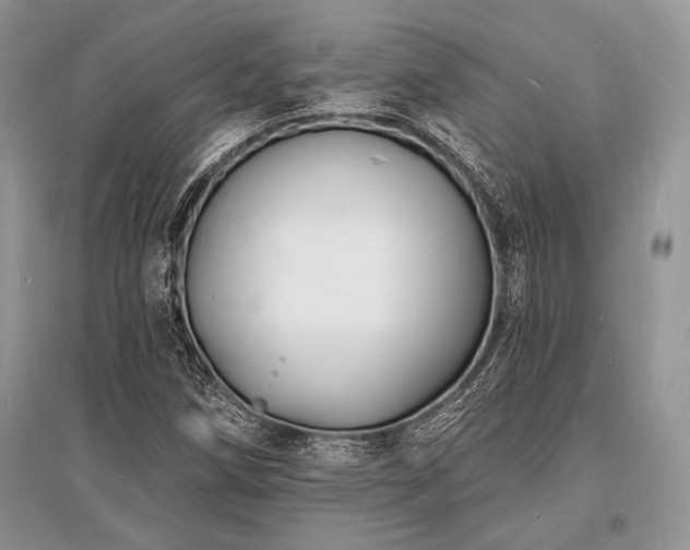 X0000096391258200801241253