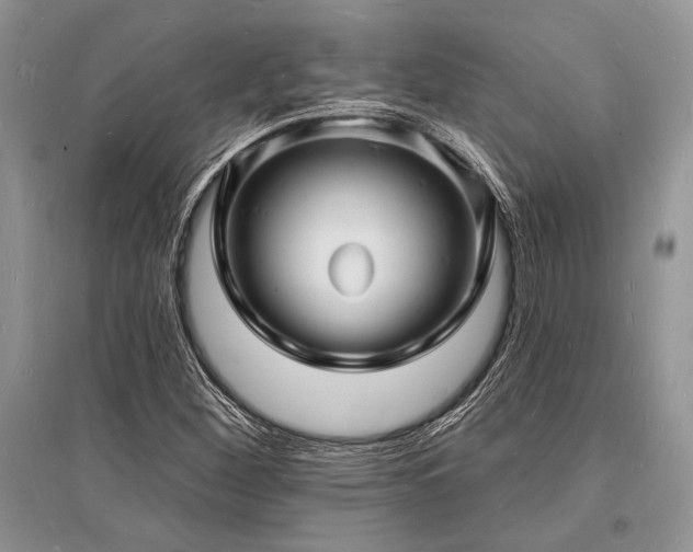 X0000096391260200801241253