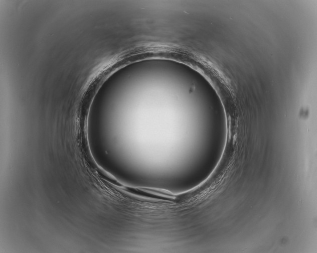 X0000096391261200801241253
