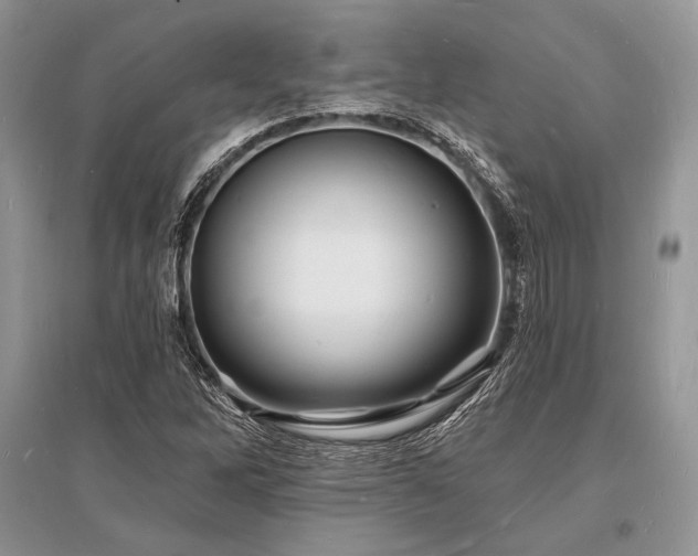 X0000096391262200801241253