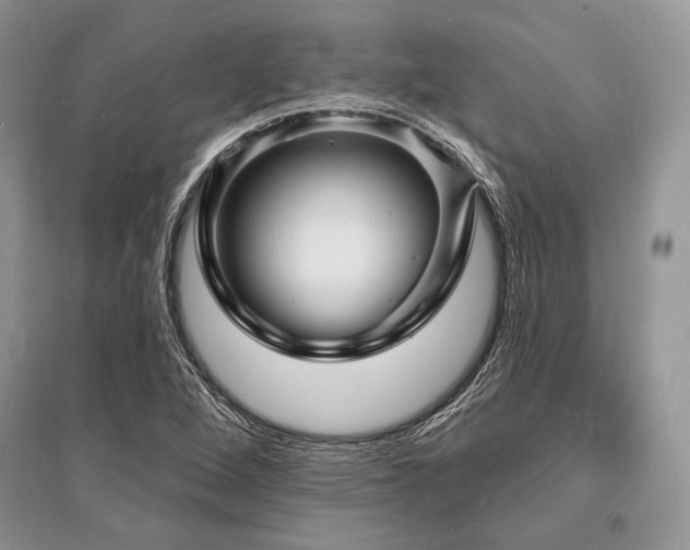 X0000096391264200801241253