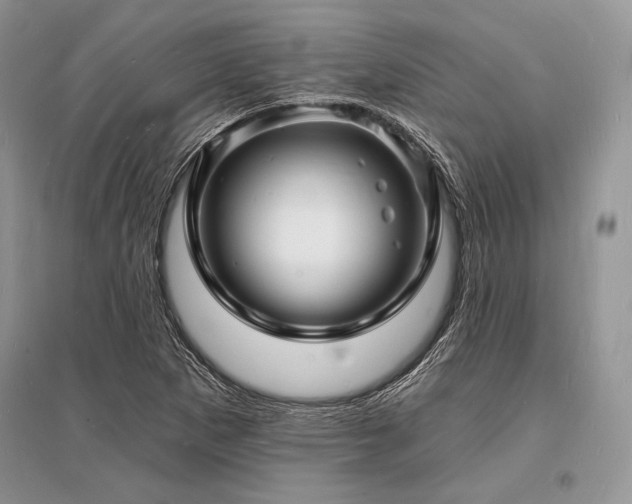 X0000096391265200801241253