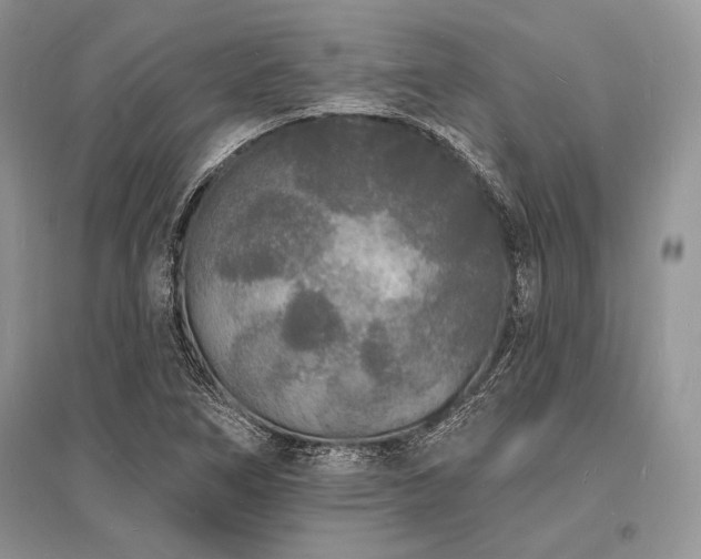 X0000096391266200801241253