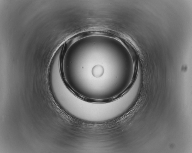 X0000096391268200801241253