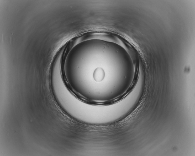X0000096391269200801241253