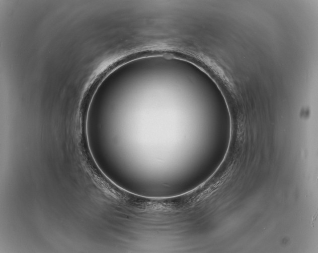 X0000096391270200801241253