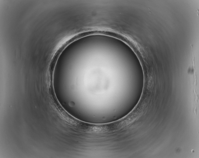 X0000096391271200801241253