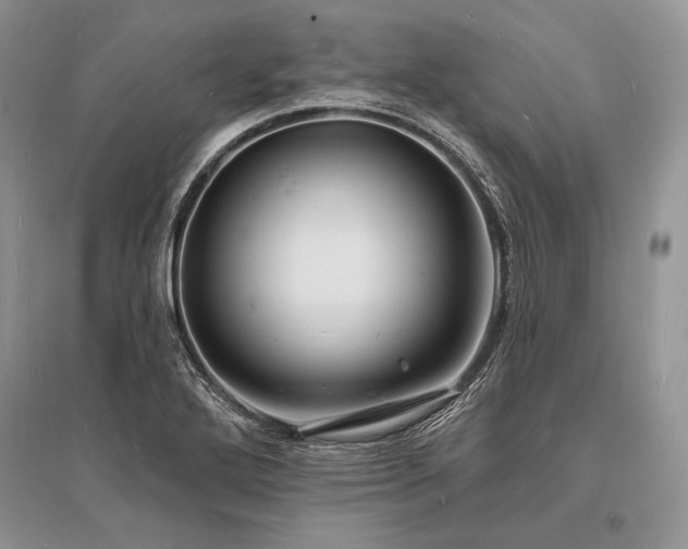 X0000096391272200801241253