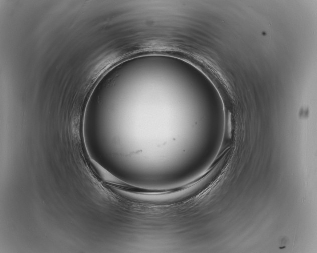 X0000096391273200801241253