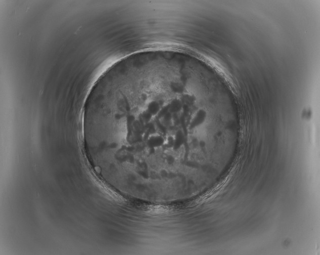 X0000096391275200801241253
