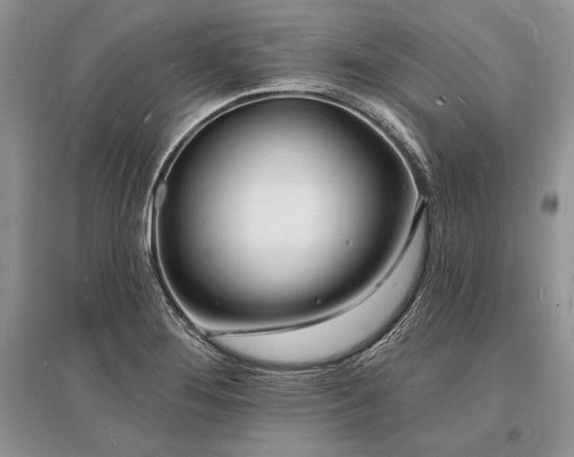 X0000096391276200801241253