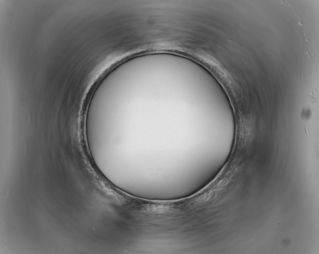 X0000096391278200801241253