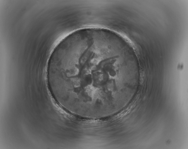 X0000096391279200801241253