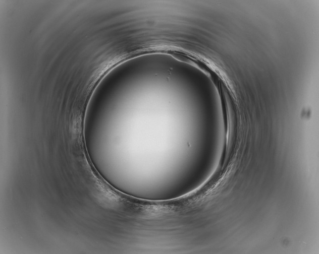 X0000096391281200801241253