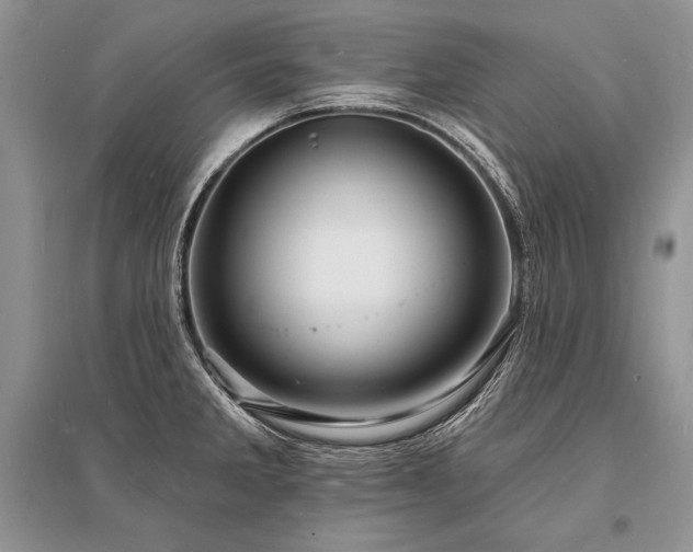 X0000096391285200801241252