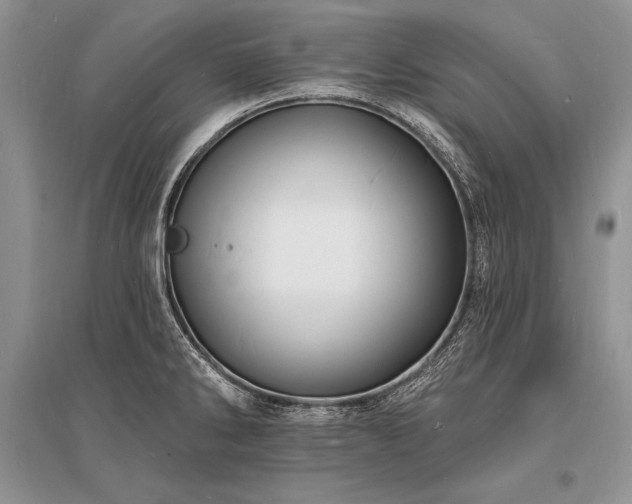 X0000096391286200801241252