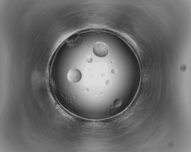X0000096391287200801241252
