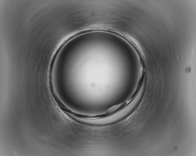 X0000096391288200801241252