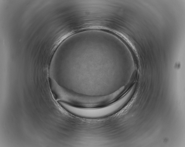 X0000096391289200801241252