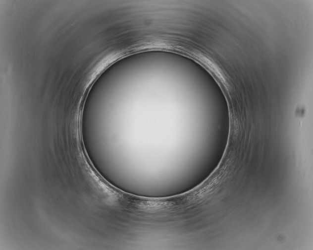 X0000096391290200801241252
